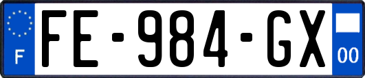FE-984-GX