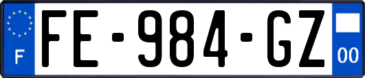 FE-984-GZ