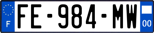 FE-984-MW