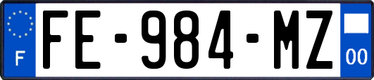 FE-984-MZ