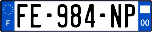 FE-984-NP