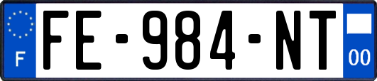 FE-984-NT