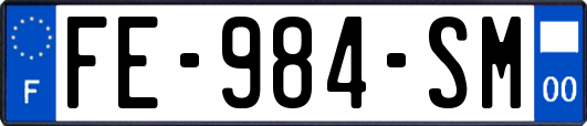 FE-984-SM