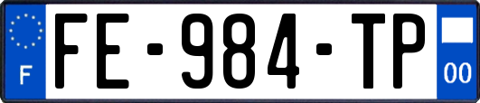 FE-984-TP