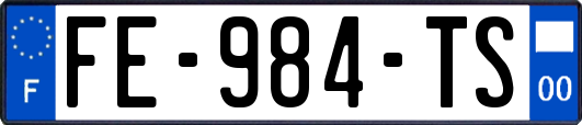 FE-984-TS