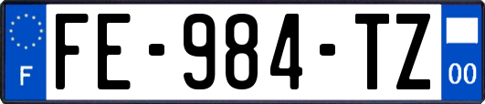 FE-984-TZ