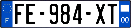 FE-984-XT
