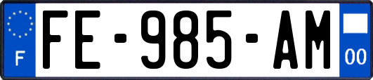 FE-985-AM