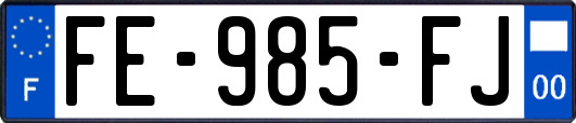 FE-985-FJ