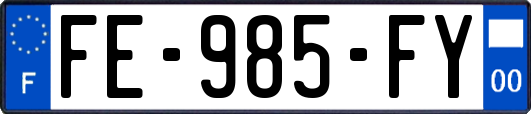 FE-985-FY