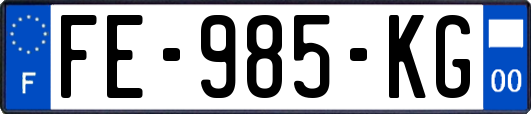 FE-985-KG
