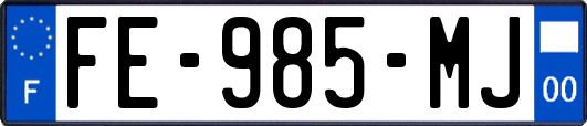 FE-985-MJ