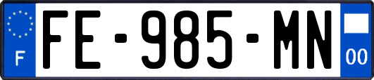 FE-985-MN