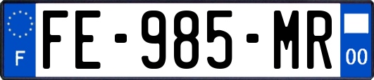 FE-985-MR