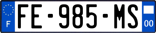 FE-985-MS