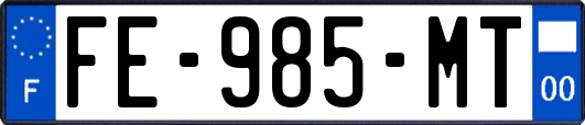 FE-985-MT