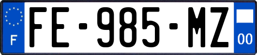 FE-985-MZ