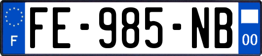 FE-985-NB