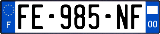 FE-985-NF