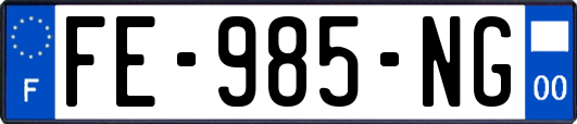 FE-985-NG