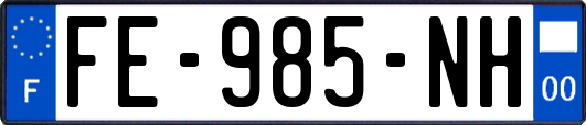 FE-985-NH