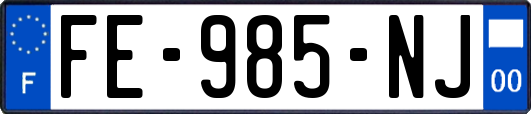 FE-985-NJ