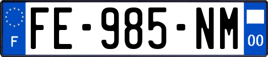 FE-985-NM