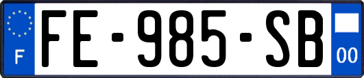 FE-985-SB