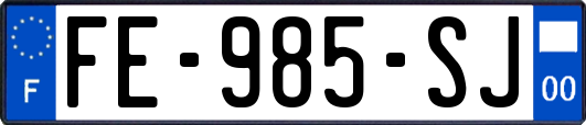 FE-985-SJ