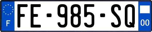 FE-985-SQ