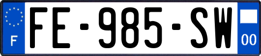 FE-985-SW