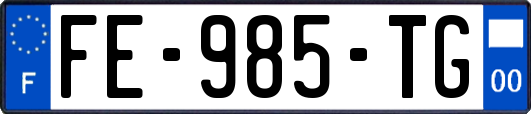 FE-985-TG