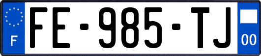 FE-985-TJ