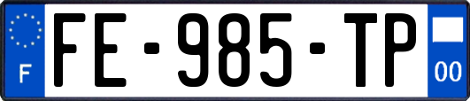 FE-985-TP
