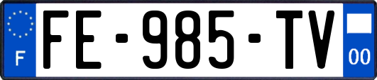 FE-985-TV