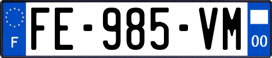 FE-985-VM