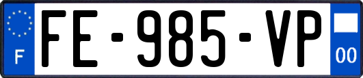 FE-985-VP