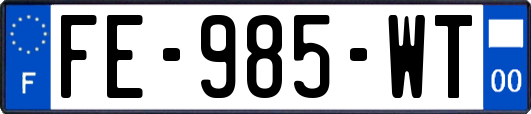 FE-985-WT