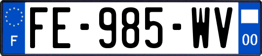 FE-985-WV