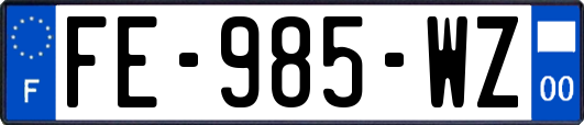 FE-985-WZ