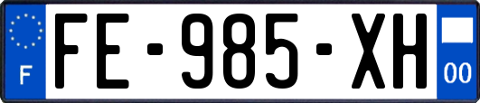 FE-985-XH