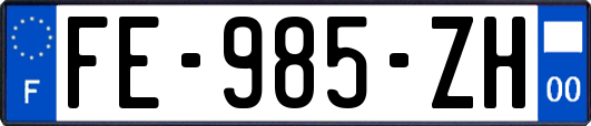 FE-985-ZH