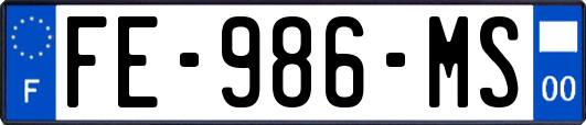 FE-986-MS