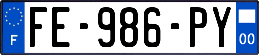 FE-986-PY