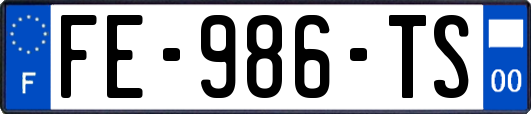 FE-986-TS