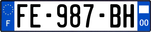 FE-987-BH