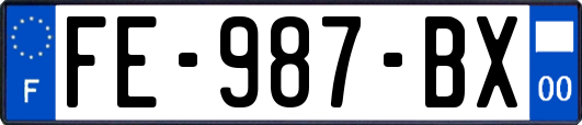 FE-987-BX