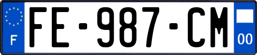 FE-987-CM