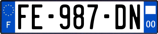 FE-987-DN