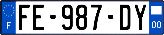 FE-987-DY